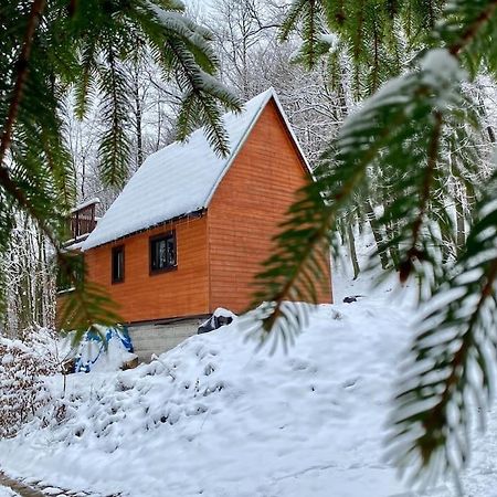 Vila Chata Pod Pindulou Rožnov pod Radhoštěm Exteriér fotografie