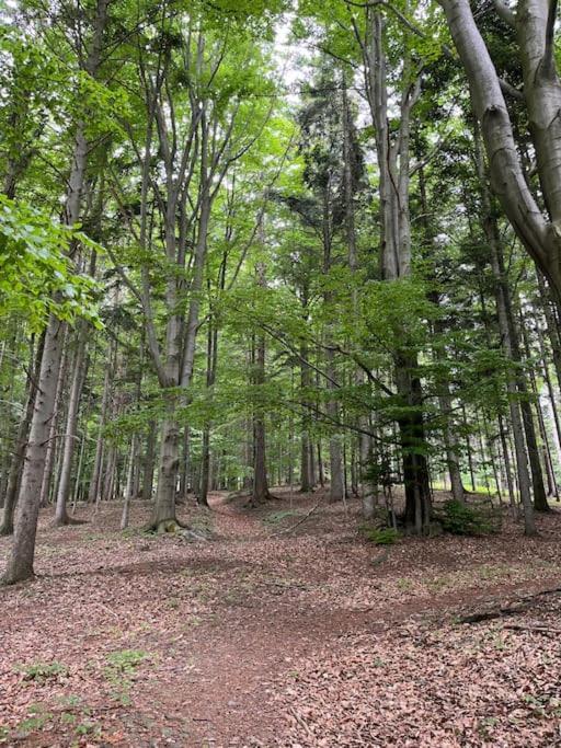 Vila Chata Pod Pindulou Rožnov pod Radhoštěm Exteriér fotografie